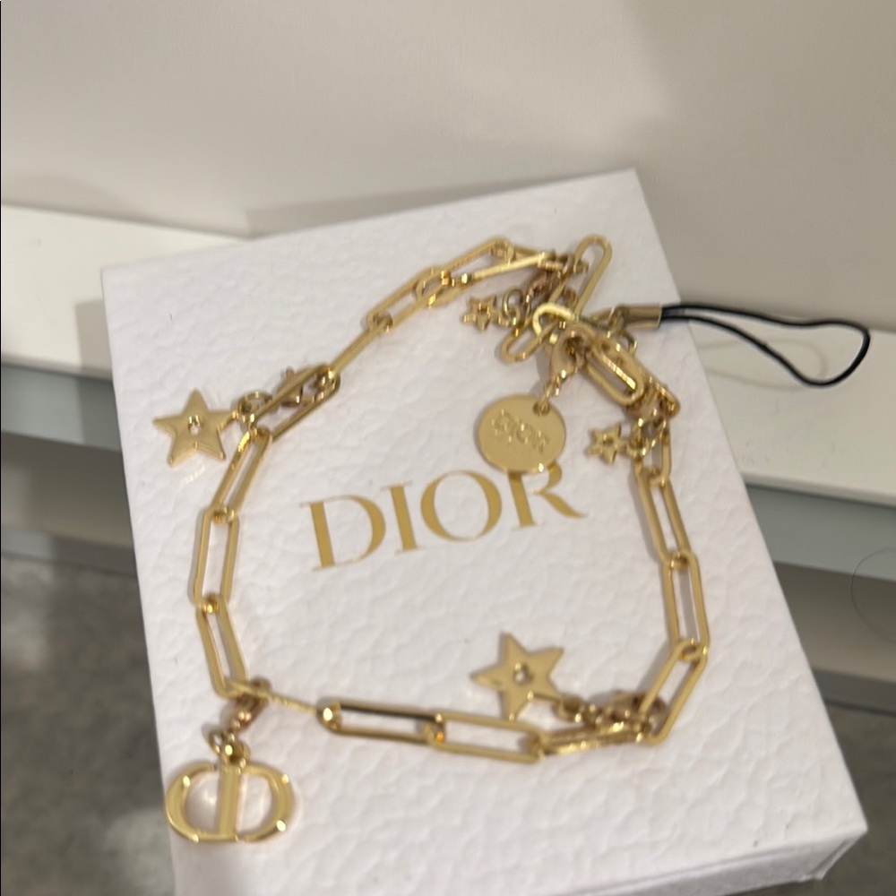 Dior Gold Chain Phone Case Accessory